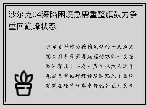 沙尔克04深陷困境急需重整旗鼓力争重回巅峰状态